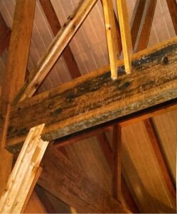 木カビ　天井梁カビ取り前と後の比較